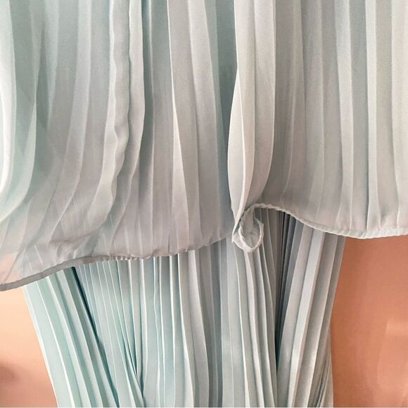 AMUR Arlette Dress in Soft Sage pleated midi sheer trapeze swing Revolve $598 6 - Picture 16 of 16